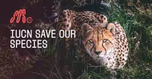 SaveOurSpecies